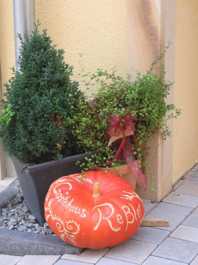 Gaestehaus Ressler Harxheim Exterior foto